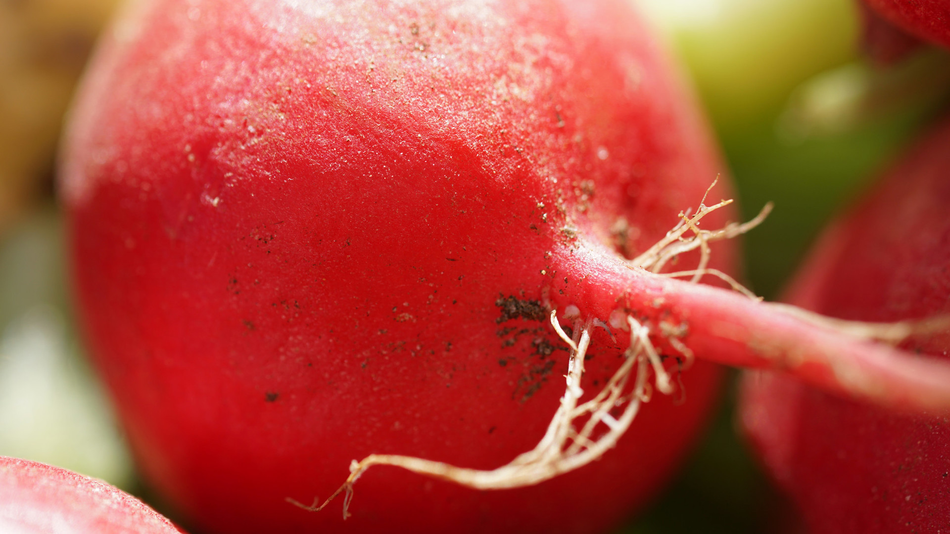 Tag der gesunden Ernährung
